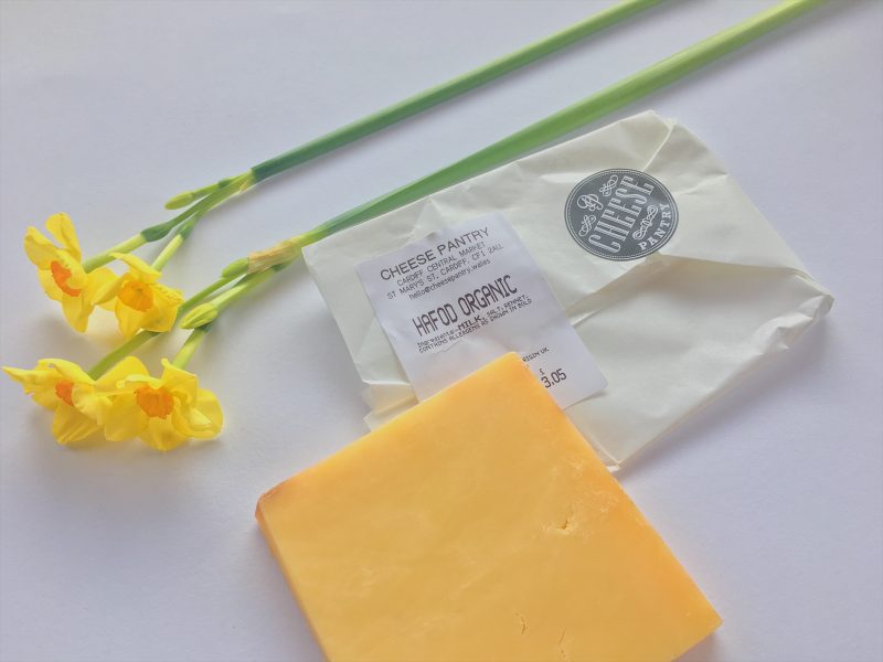 Organic Welsh Hafod cheese ideal for my St. David's Day recipe, Coquilles St. David's