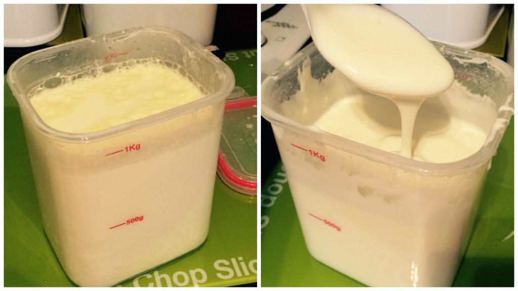 HansellsYoghurtcollage