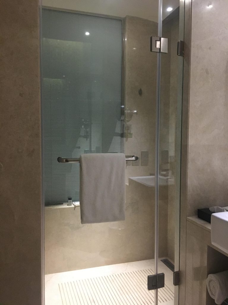 Shower at Holiday Inn Jaipur