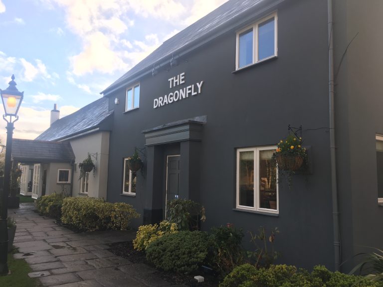 The Dragonfly, Newport