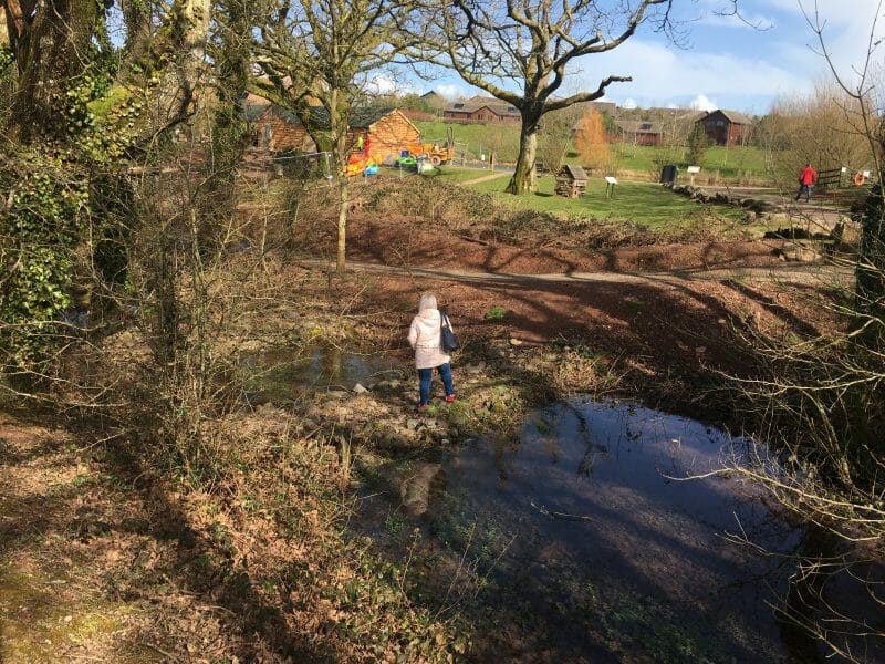 A girl crossing a stream at Bluestone Wales