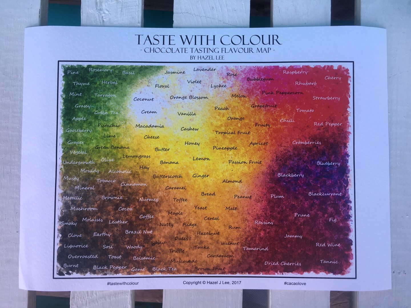Chocolate tasting map by Hazel Lee