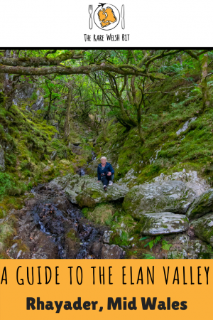 A Guide to the beautiful Elan Valley in Rhayader, Mid Wales; a series of dams, resevoir and bridges surrounded by lush green hills and valleys #elanvalley #midwales #rhayader #visitwales #findyourepic