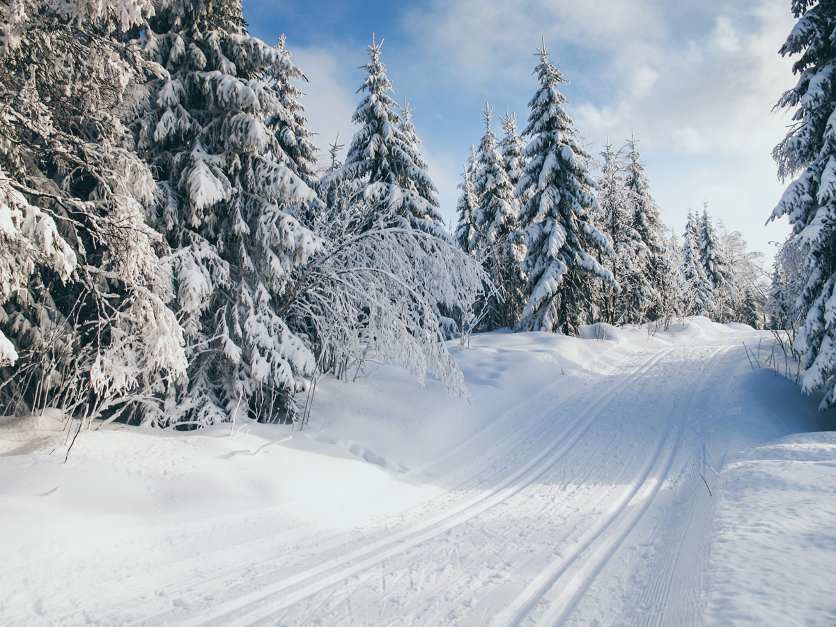 Oslo, Norway is a top winter ski-ing destination