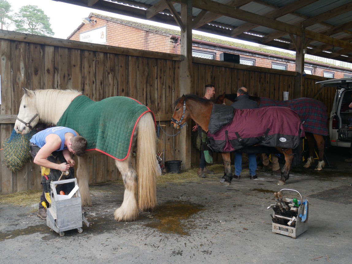 Farriers