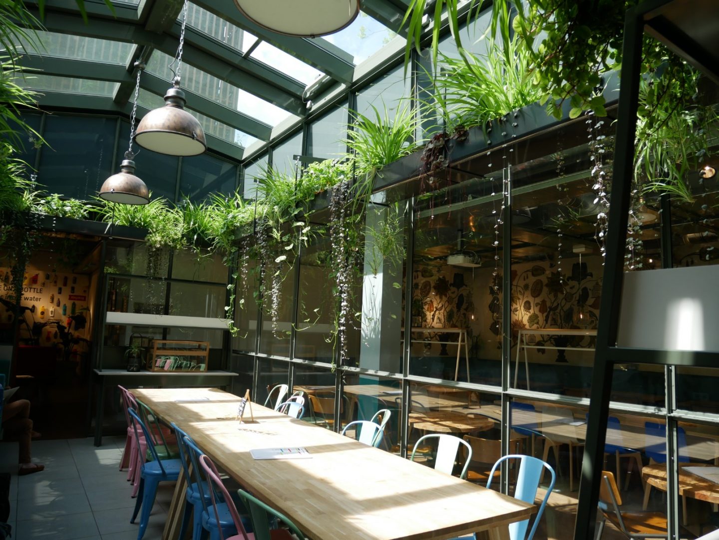 Dining space at Stayokay Amsterdam Vondelpark, complete with sun roof and indoor plants