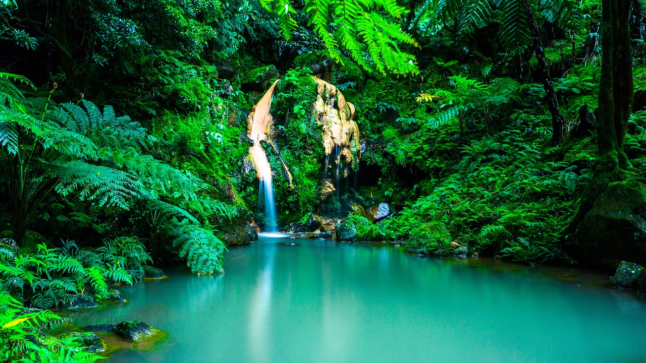 A waterfall flowing into a pool of water in Azores, Portugal - a leading winter sun destination.