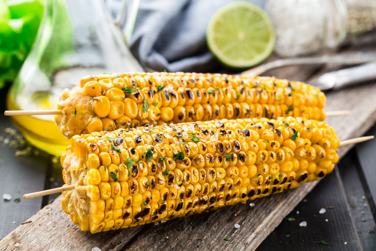 Golden corn on the cob grilled on a barbecue until slightly charred.