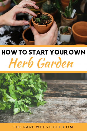 How to grow your own herb garden in 5 simple and easy steps, including tips on choosing the right pots and whether to grow plants on the kitchen windowsill or indoors. #gardening #herbgarden #herbs