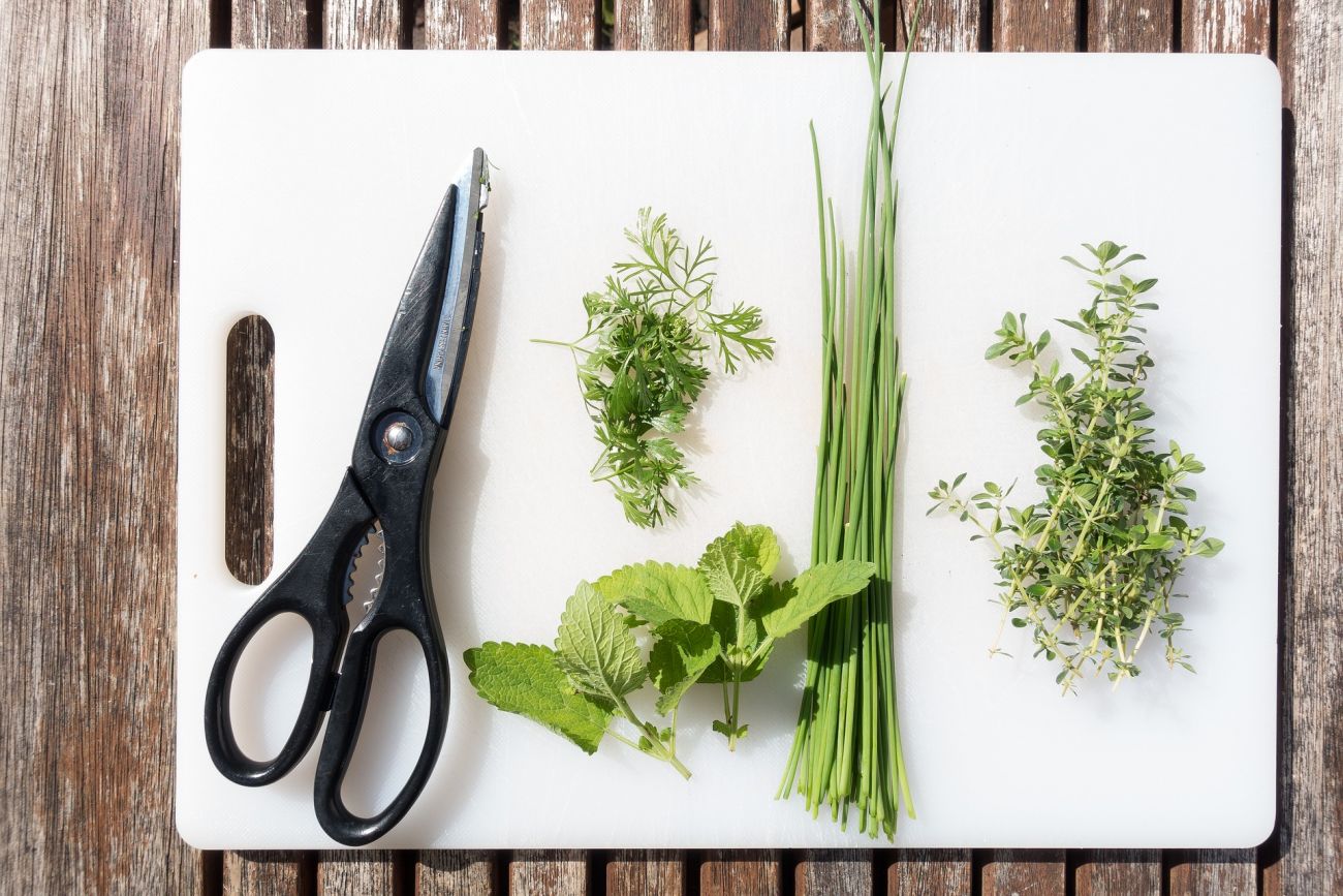 A selection of herbs lying on a chopping board next to a pair of scissors.