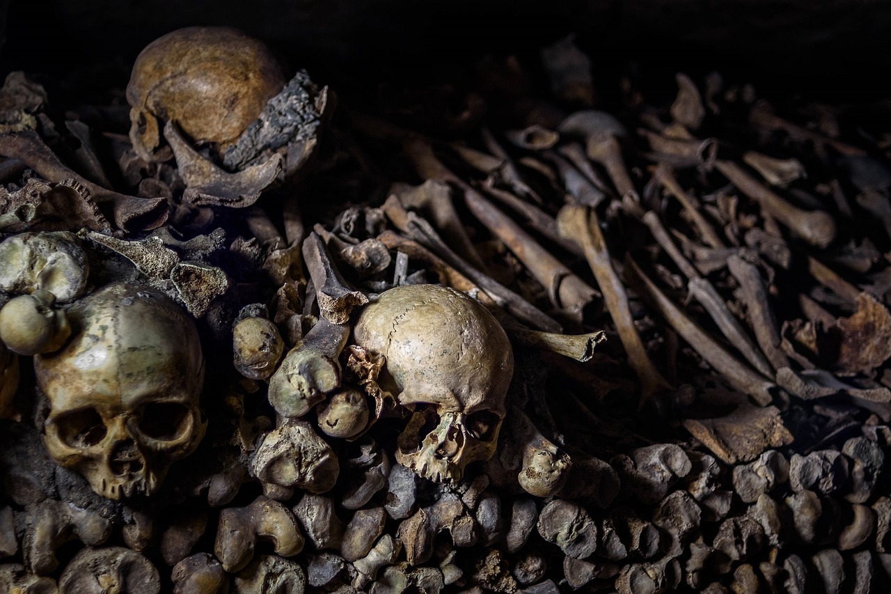 Skulls and bones inside the Catacombs of Paris, France.