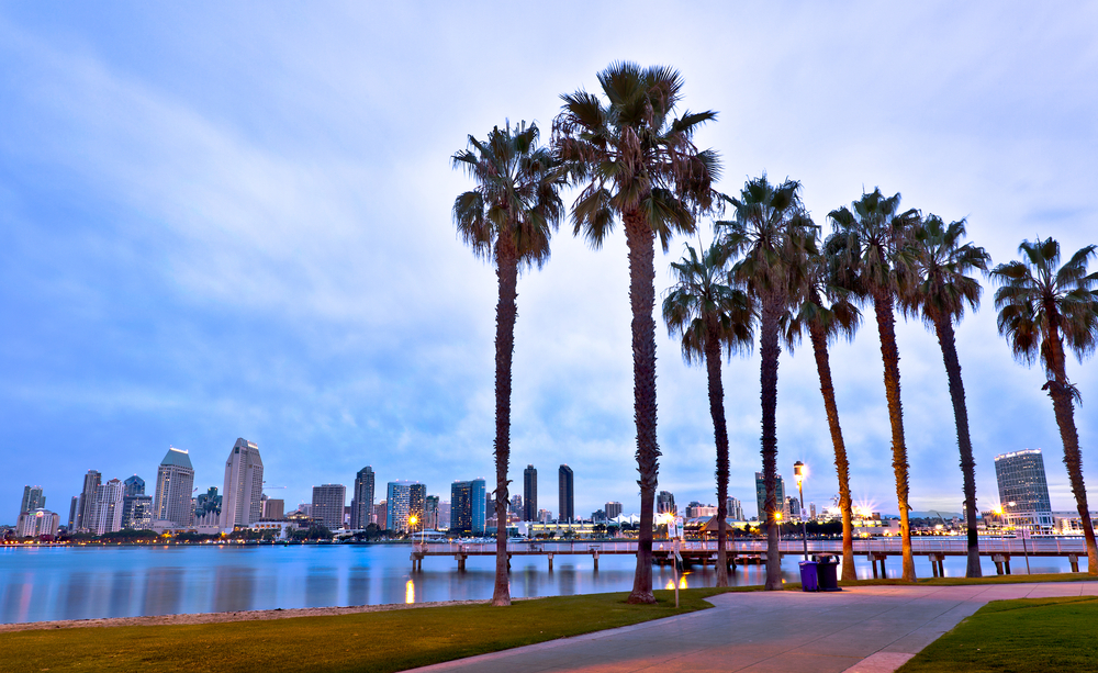 Palm trees in San Diego, California