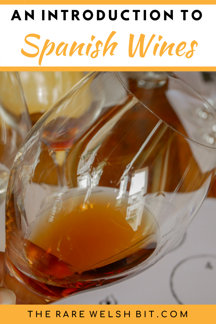Observing the colour of sherry wine in a glass in a Spanish wine tasting session
