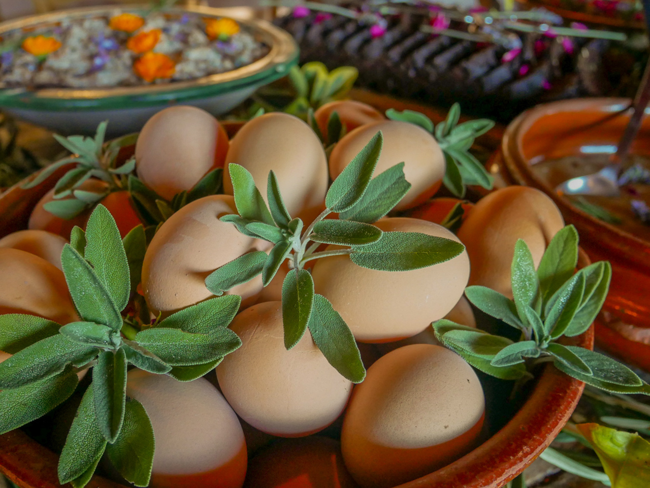 Free range eggs