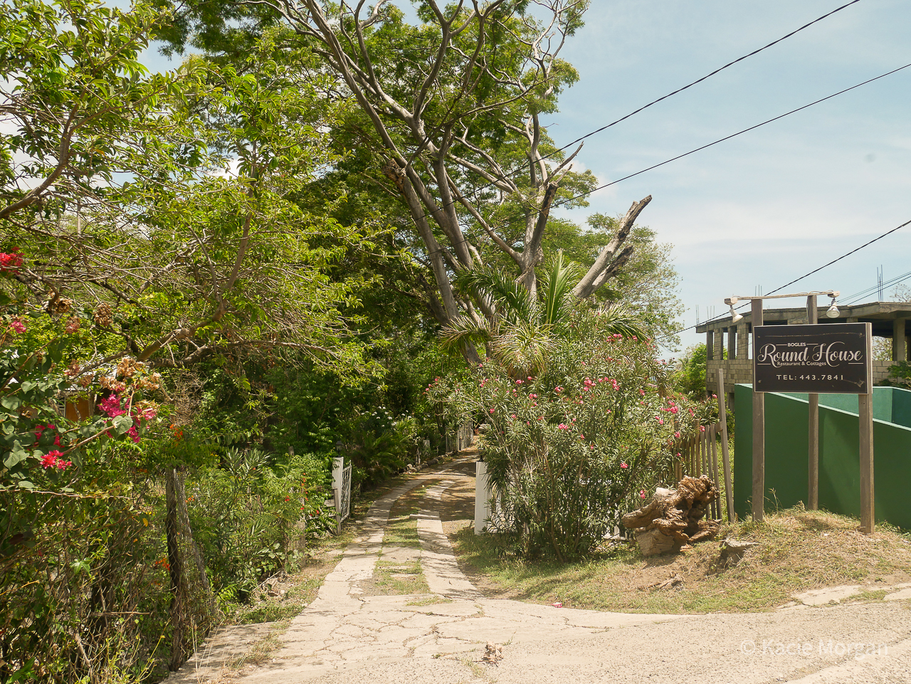 The driveway to Bogles Round House, Carriacou