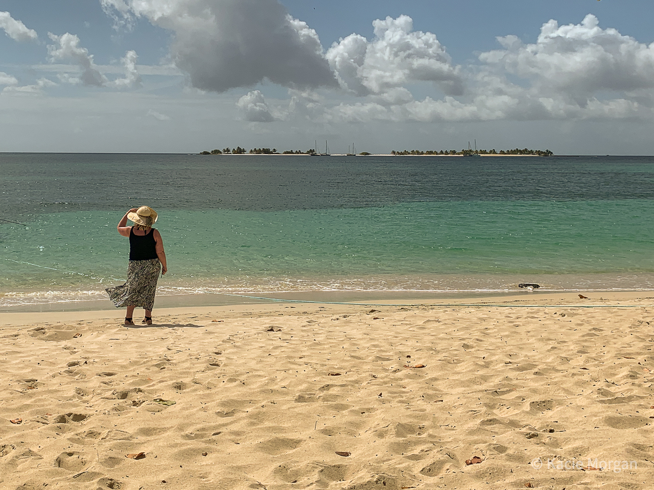 Admiring the views of Sandy Island from Paradise Beach