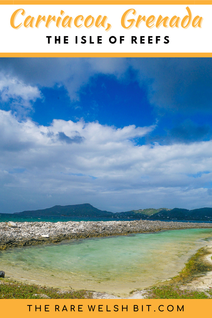 A wall of shingle and dead coral at Sandy Island in Carriacou, Grenada