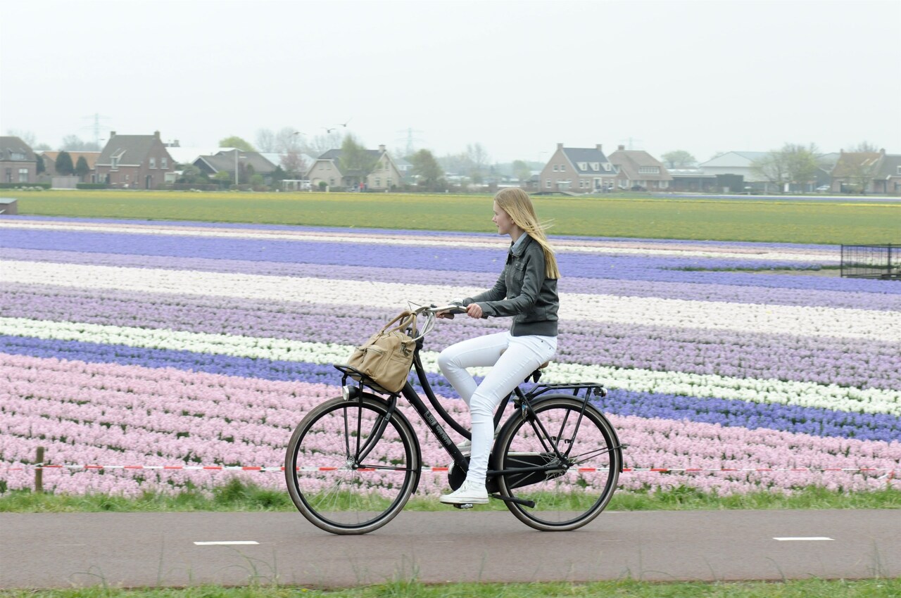 A female cyclist riding through Netherland's Keukenhof Gardens