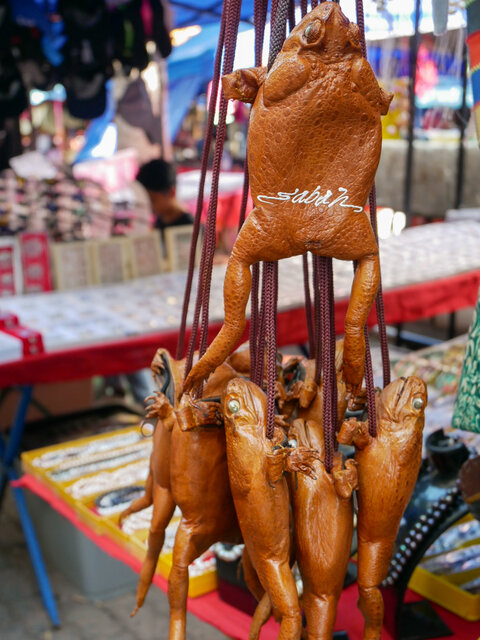 Unusual frog bags on display at Gaya St Sunday Market in Sabah, Borneo