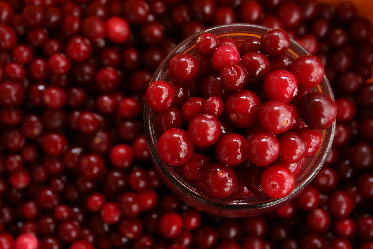 Fresh cranberries
