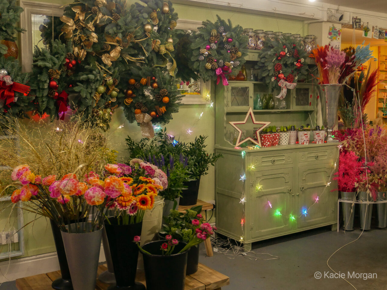 The Bloom Room, an independent florist in Monmouth