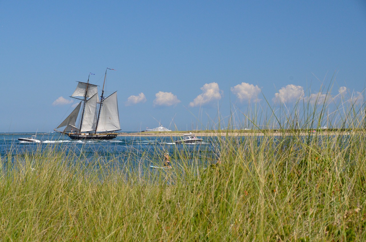 A sail boat pictured through the reeds in Nantucket