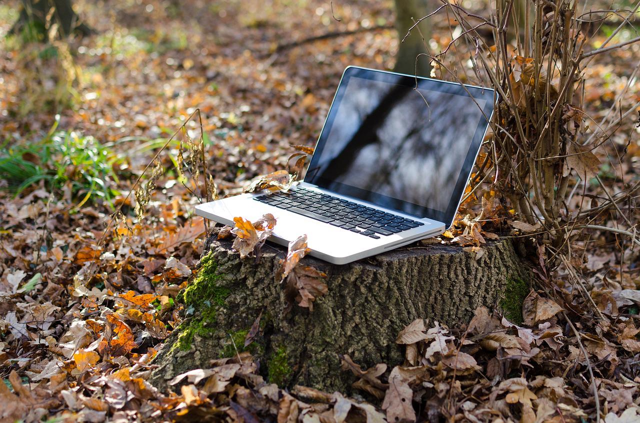A laptop positioned on a tree trunk, surrounded by fallen leaves in a forest.