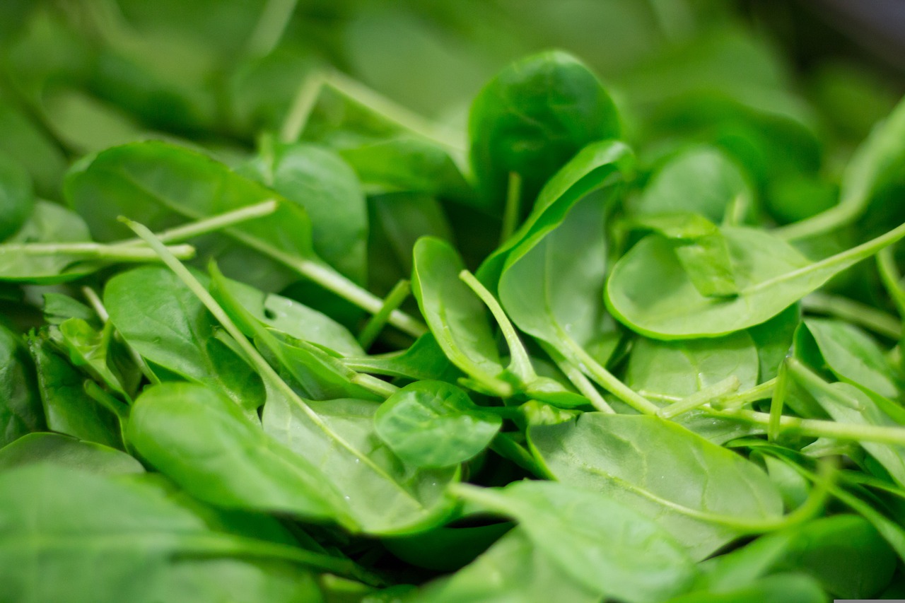 Leafy green spinach, close-up