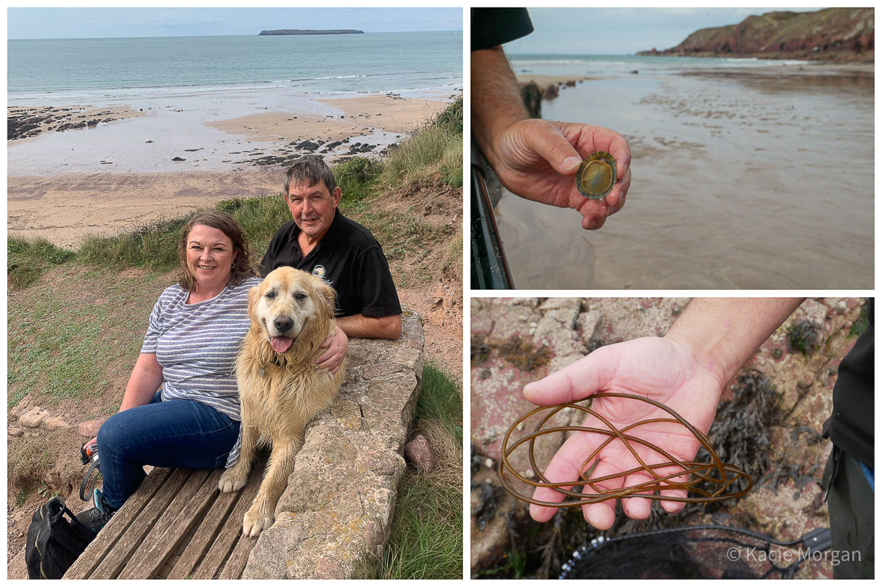L-R, Clockwise: Me, Craig Evans and Llew, his Golden Retriever; Craig holding a limpet; Craig holding sea spaghetti