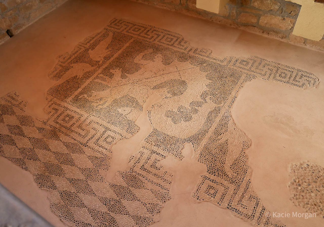 The oldest mosaic in the House of Dionysus at Nea Pafos Archaeological Site.