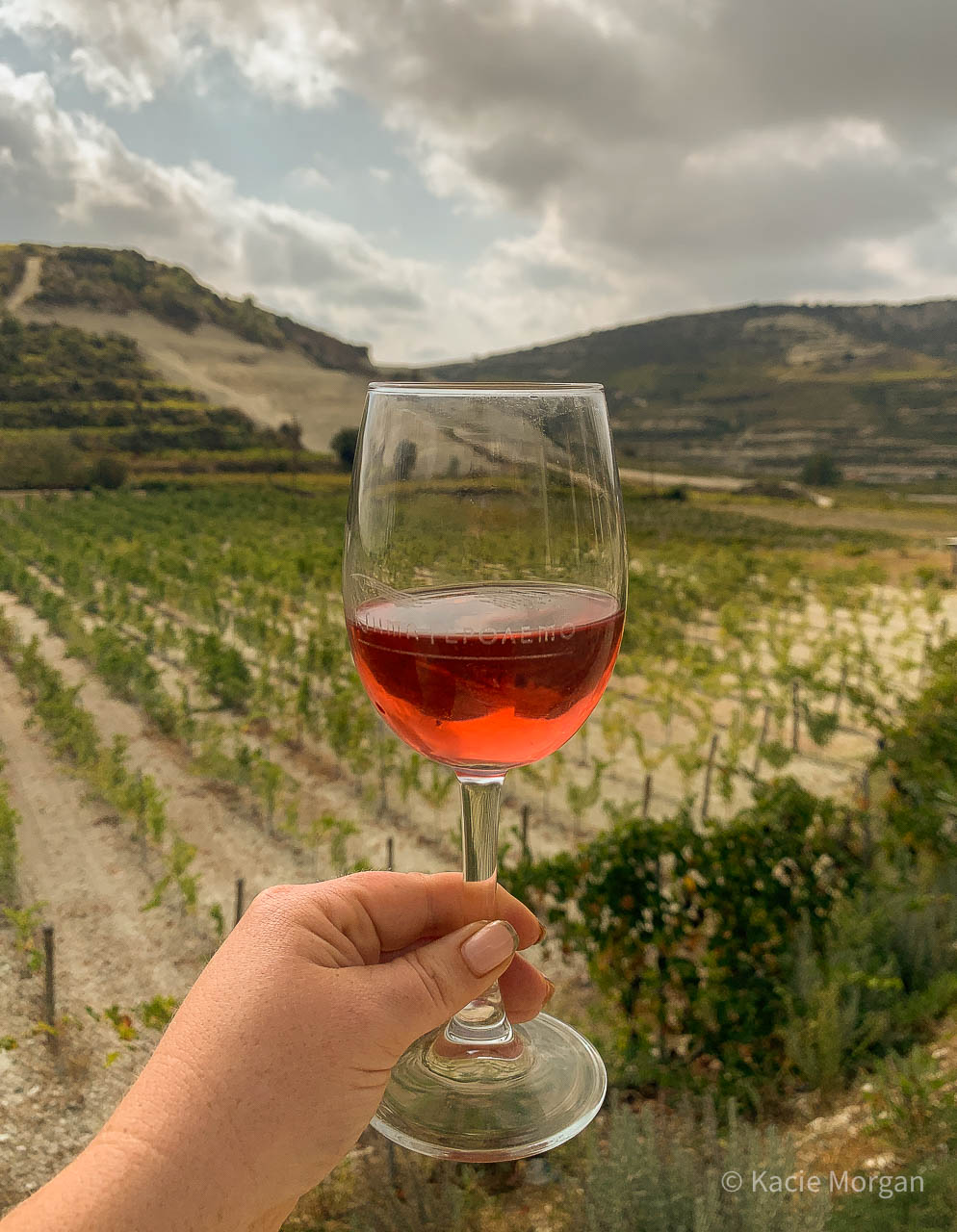 A glass of rose wine held up with the vineyard in the background, at Ktima Gerolemos vineyard and winery in Omodos, Paphos