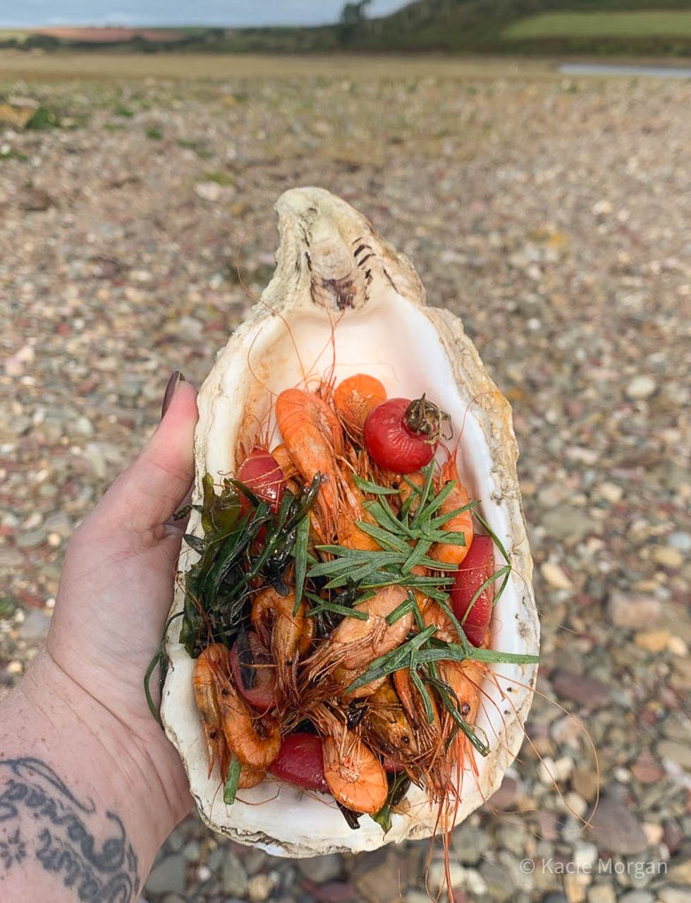 Oyster shell filled with cooked prawns, shrimps, crab apples, and rock samphire