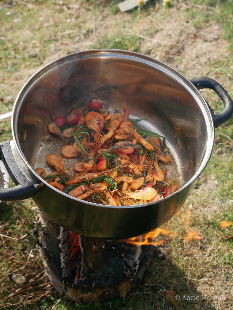 Cooking prawn, shrimp, crab apple and marsh samphire in a saucepan, over a Solva stove