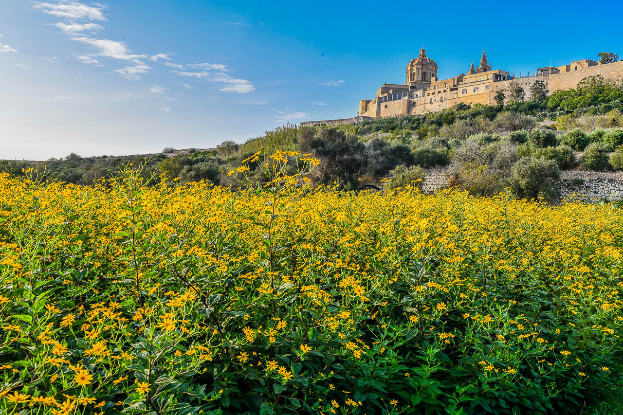 The fortified city of Mdina in Malta