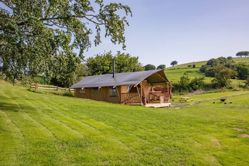 A lodge in lush green woodland