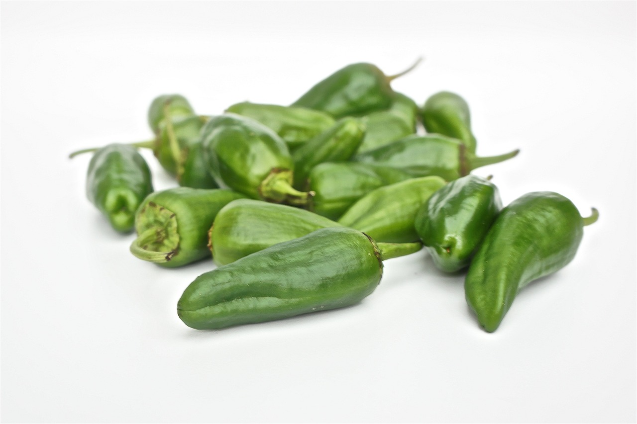 Green Spanish padron peppers, ideal camping food for campfire cooking