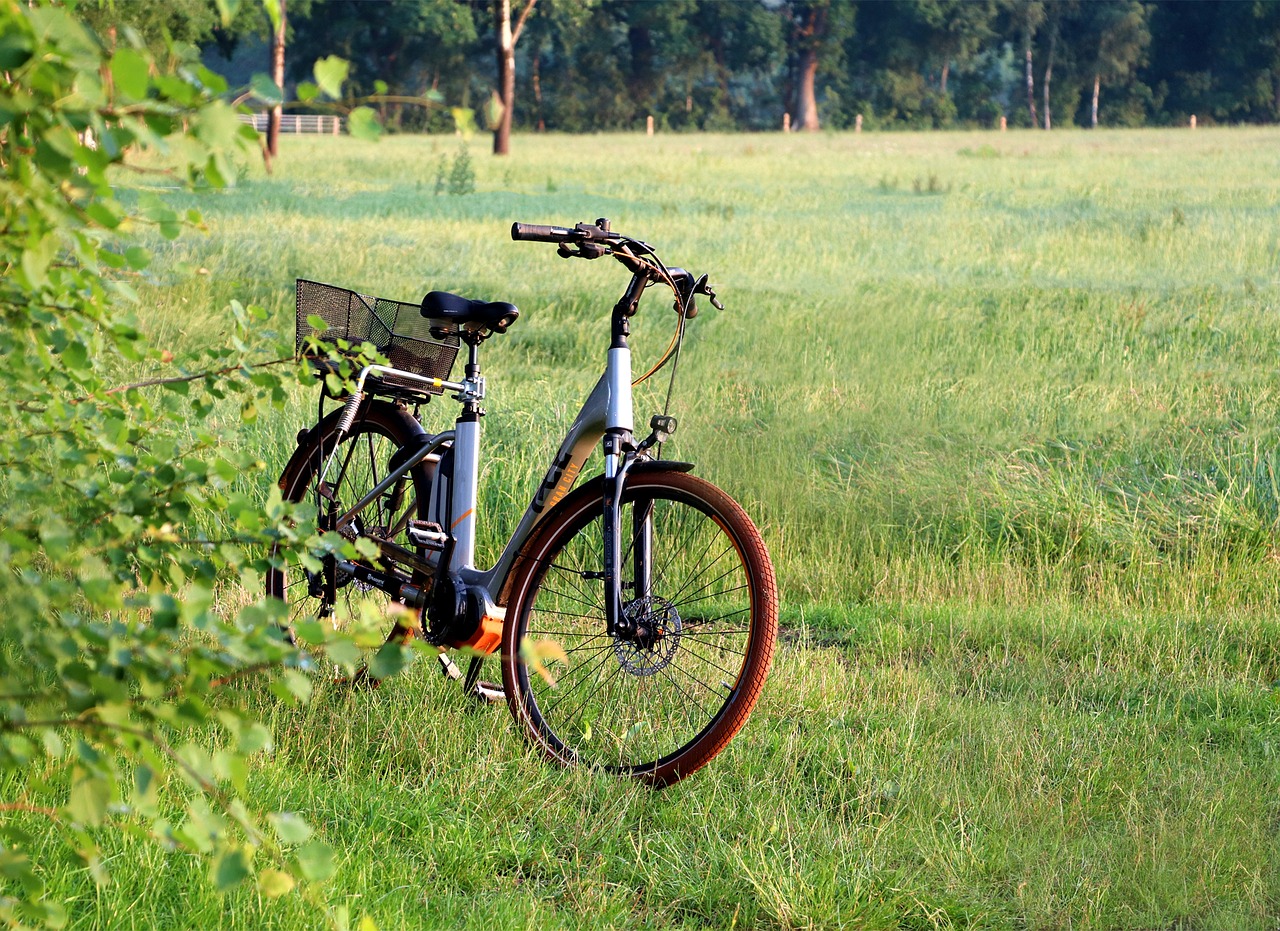 An electric bike standing in a grassy field