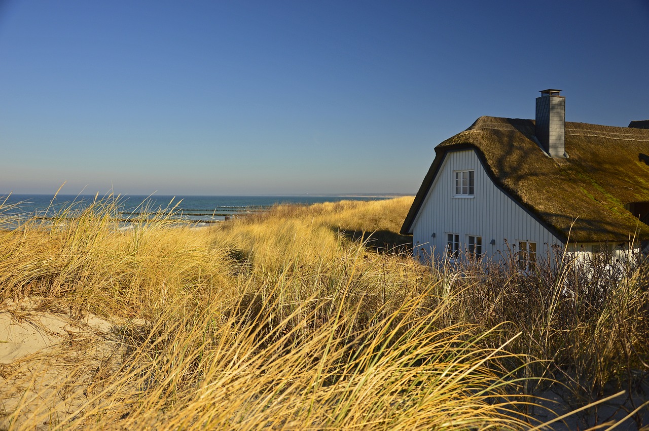 A thatched cottage in a field, overlooking the sea.