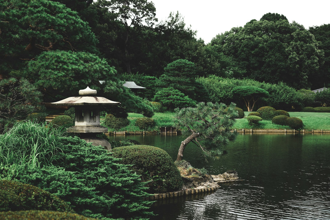 Body of water near gazebo at Shinjuku Gyoen National Garden, Shinjuku-ku, Japan