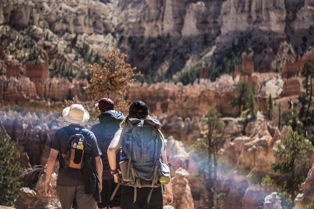 A group of three travellers wearing backpacks, photographed from behind looking out onto a landscape of trees and cliffs.