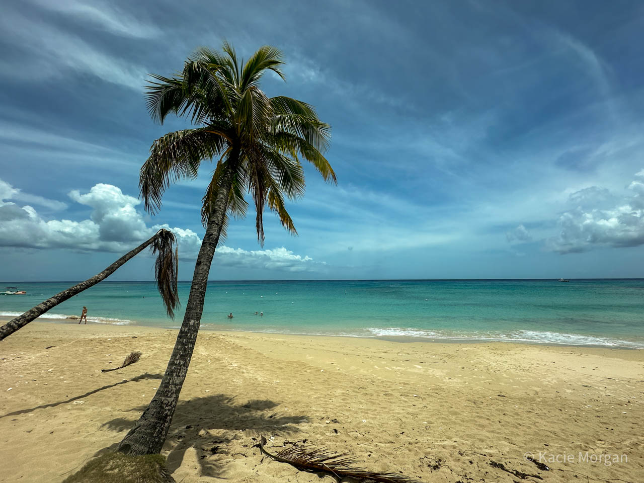 Palm trees framing the view at Mullins Beach in Barbados