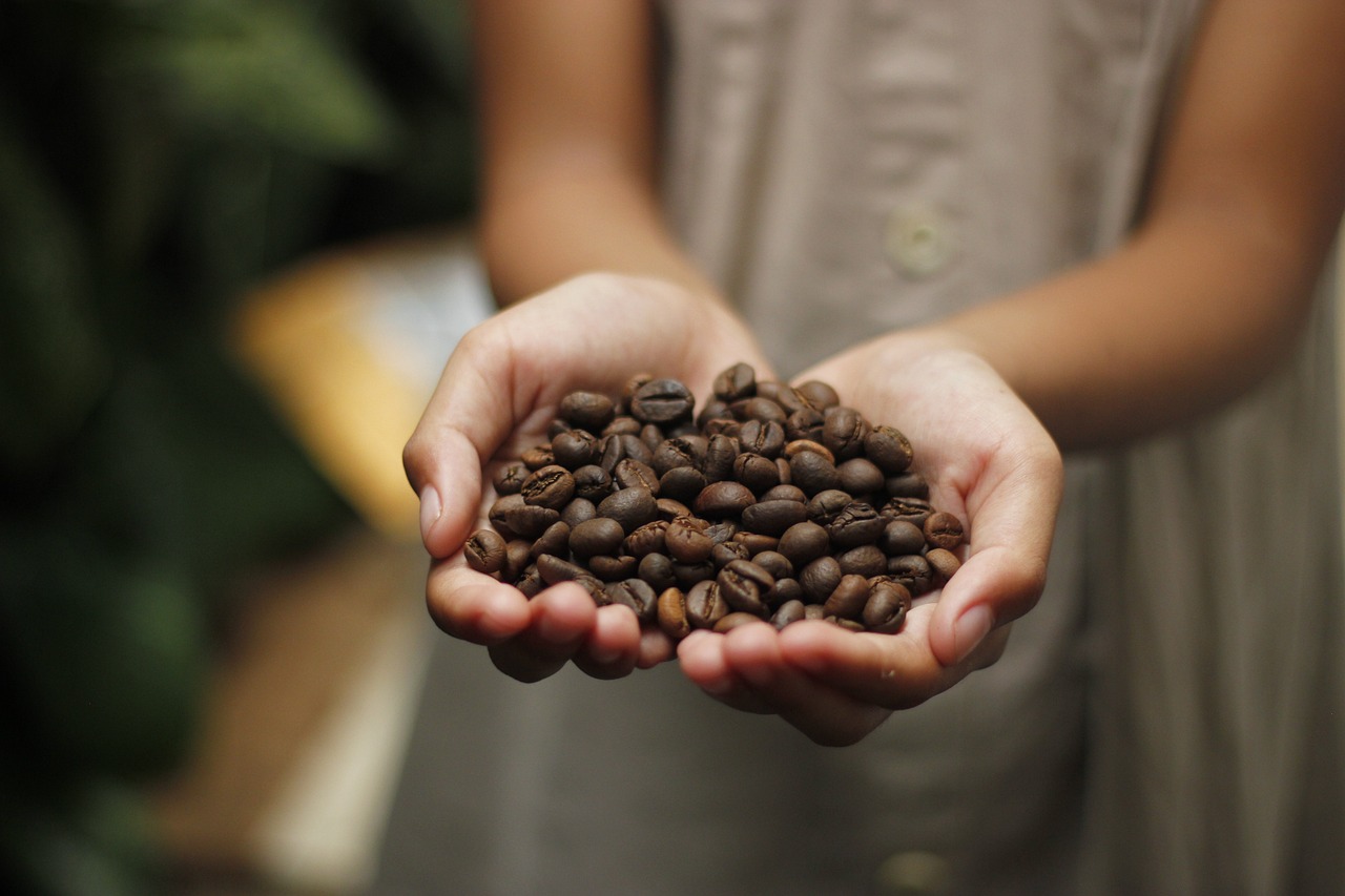 Hands holding a heap of coffee beans