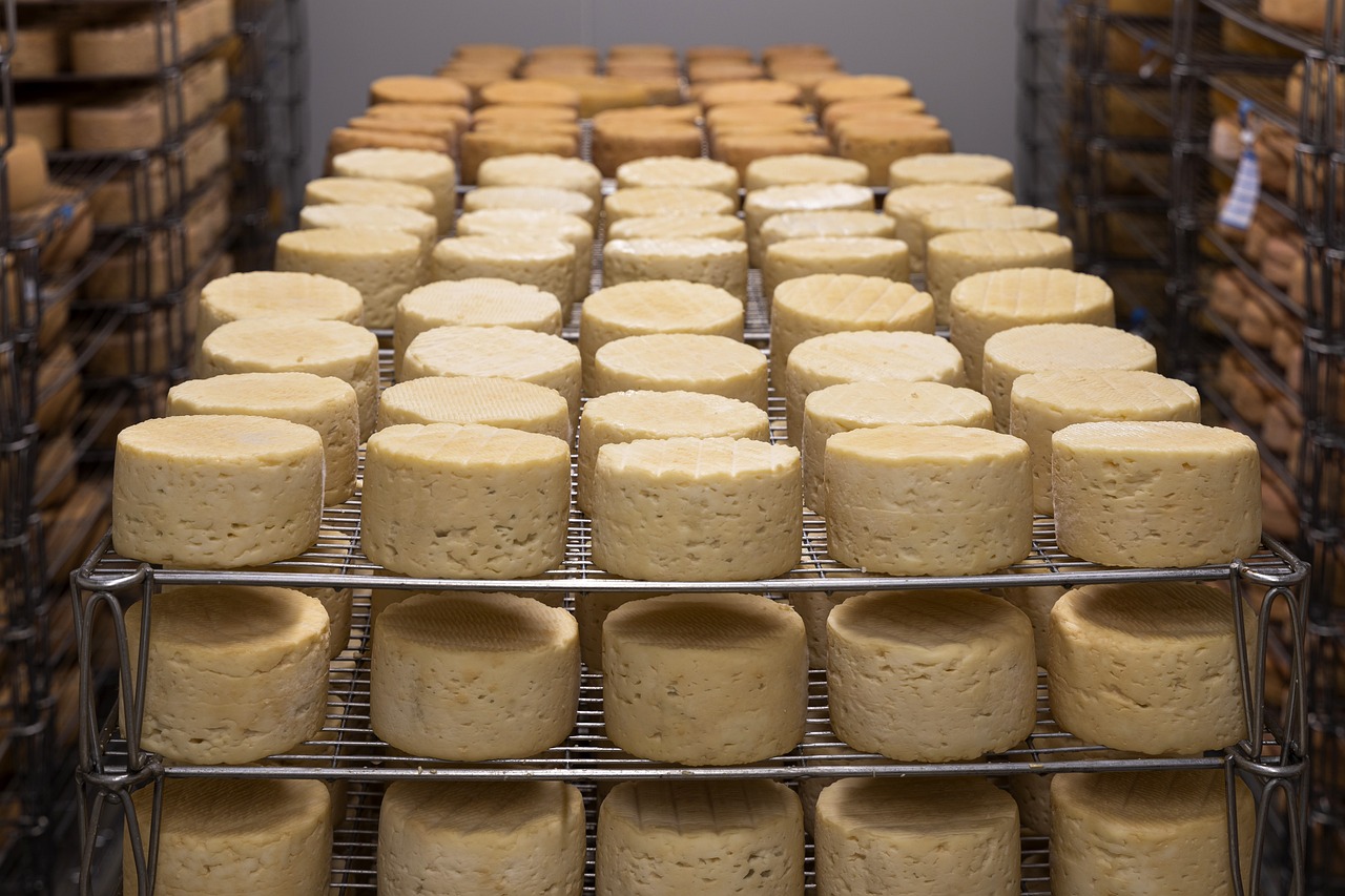 Cheese on racks, during the food production process.