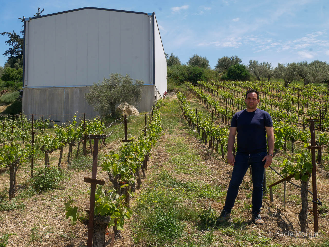 Panos Papagiannakopoulos standing in the vineyard in front of his winery.