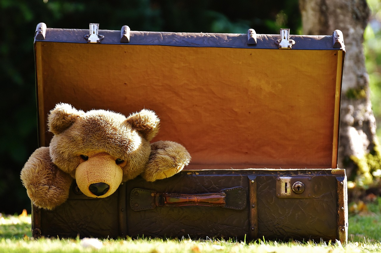 A teddybear sticking out of a suitcase