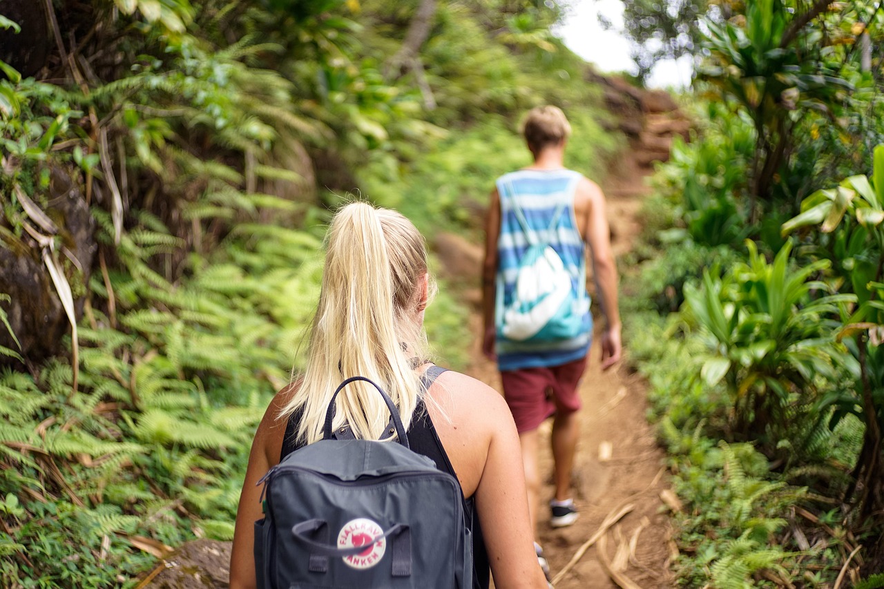Travellers hiking through a forest