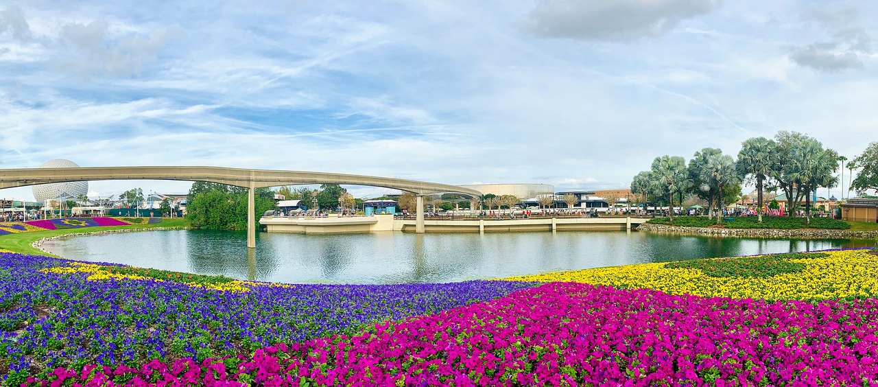 Flower garden at Florida Disney World