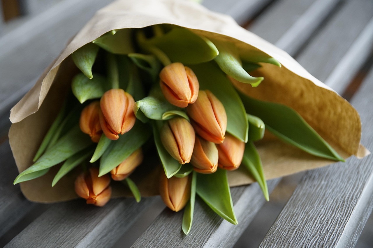 Orange tulips